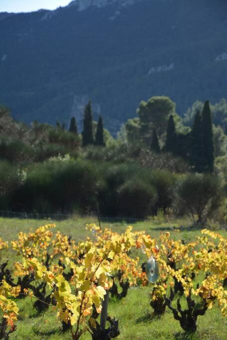 Villa Vilata A Padern Dans Les Corbieres Sauvages Extérieur photo